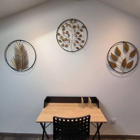 T2 -55M2- Elegant Et Chaleureux Apartment Montbrison Ngoại thất bức ảnh