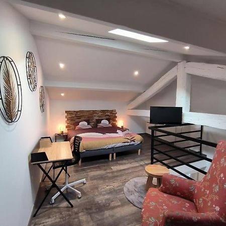 T2 -55M2- Elegant Et Chaleureux Apartment Montbrison Ngoại thất bức ảnh